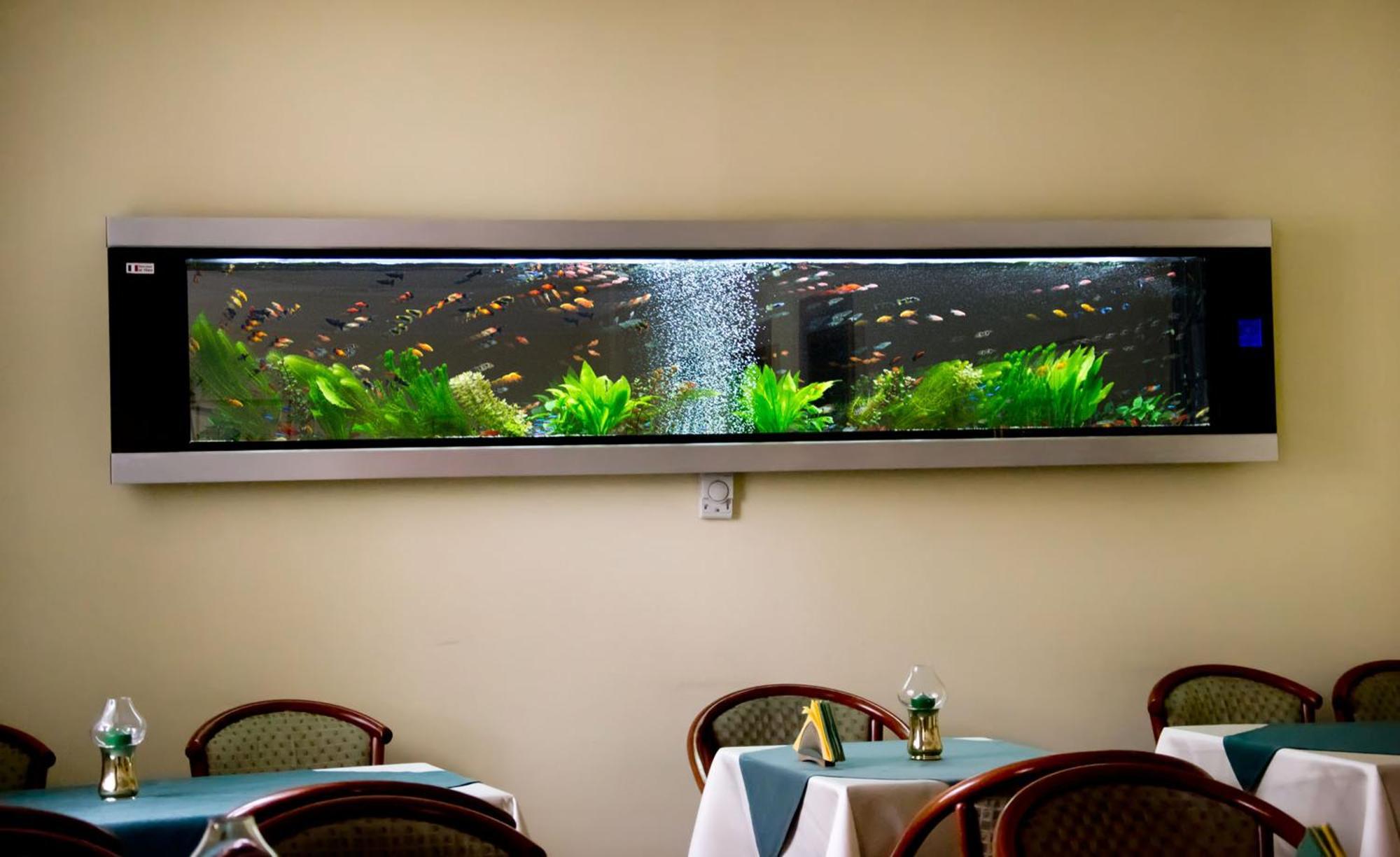 Hotel Braşov Dış mekan fotoğraf