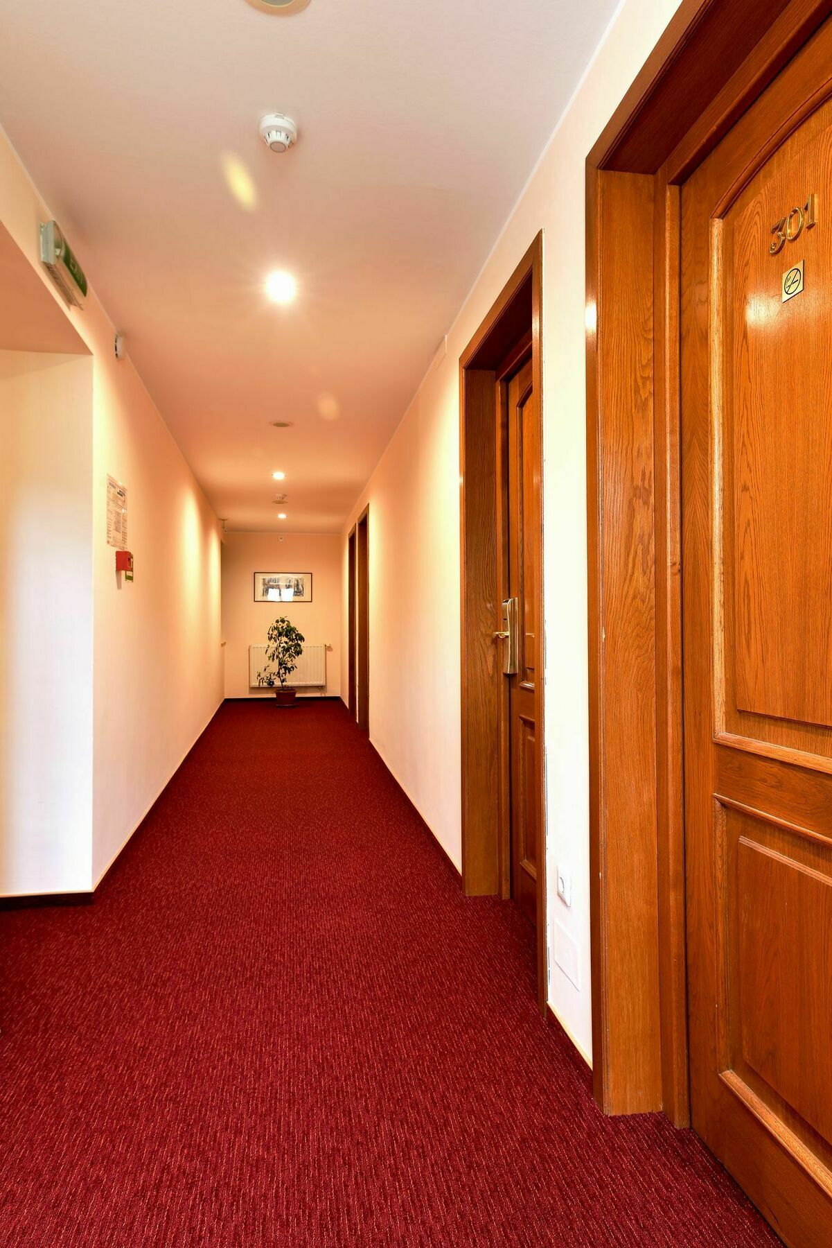 Hotel Braşov Dış mekan fotoğraf